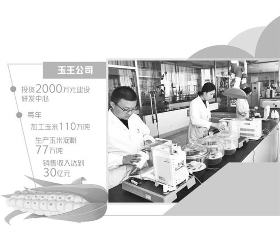 玉王<em>生物科技公司</em>——用科技延伸玉米产业链