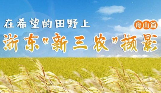 在希望的田野上 浙东新闻联盟开启“新三农”宣传