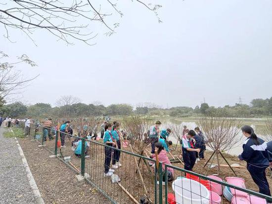广州五中教育集团植绿护绿行动纪实