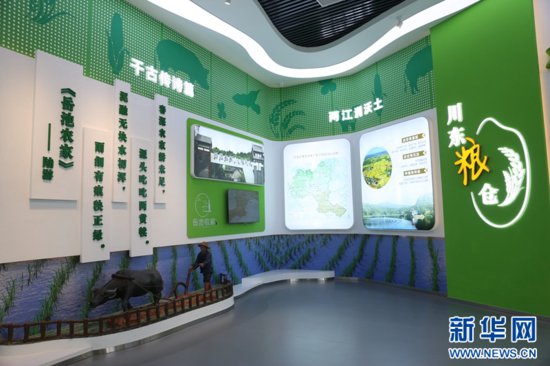 主流媒体看广安丨岳池县粮油现代农业园区