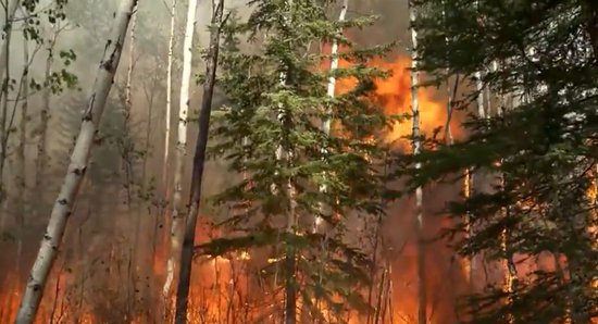 加拿大西部100多处野火燃烧：部分火势已经失控 浓烟蔓延至美国