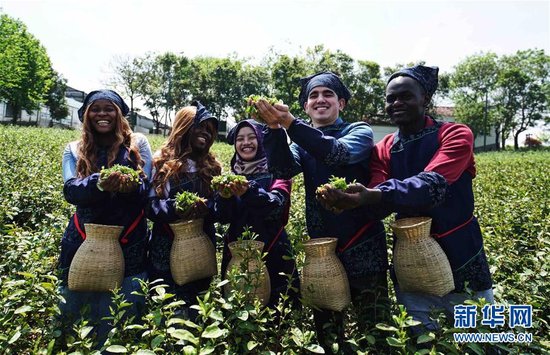 江苏/4月15日，在江苏茶博园，外国留学生展示采摘的鲜叶。