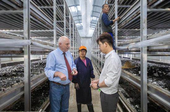 荷兰籍工程师皮特：我在中国“<em>种</em>蘑菇”