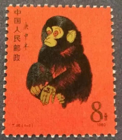 遂昌野生动物档案 | 藏酋猴，“大圣”家族最彪悍<em>的名字</em>！