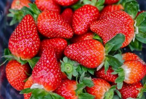 心理测试：哪一个草莓最香甜？秒<em>测谁在</em>偷偷喜欢你
