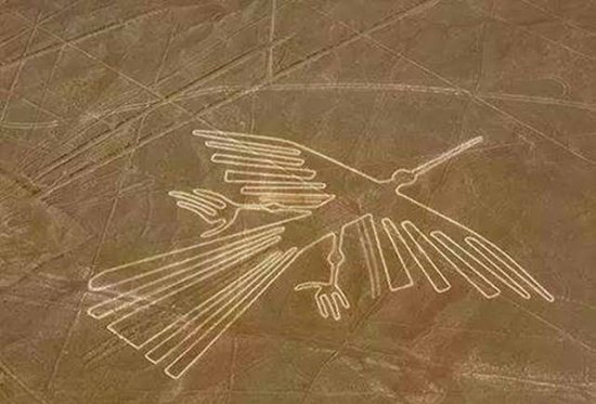 <em>飞行</em>员在空中发现了一组神秘图案，此后近百年科学家一直研究...