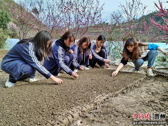 贵州沿河职校：把课堂“搬到”田间地头