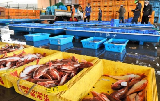 日本政府决定将核污水排入大海 千叶县渔业从业人员强烈抗议
