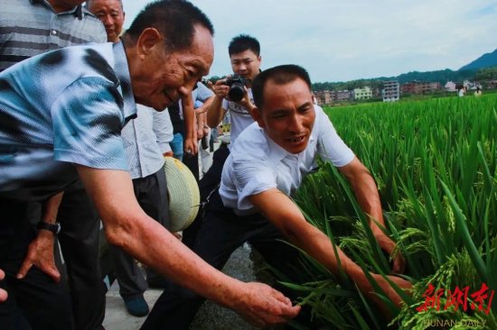 “超级农民”王化永的深情回忆：袁院士教我种超级稻